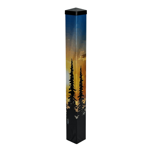 Trees at Sunrise